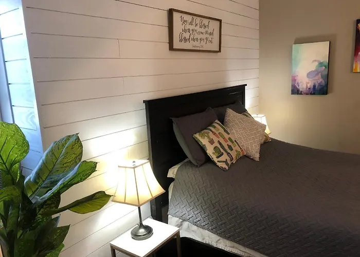 Cozy Studio